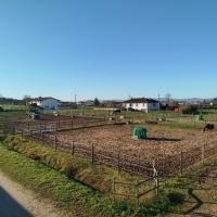 Paddock1