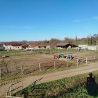 Paddock2